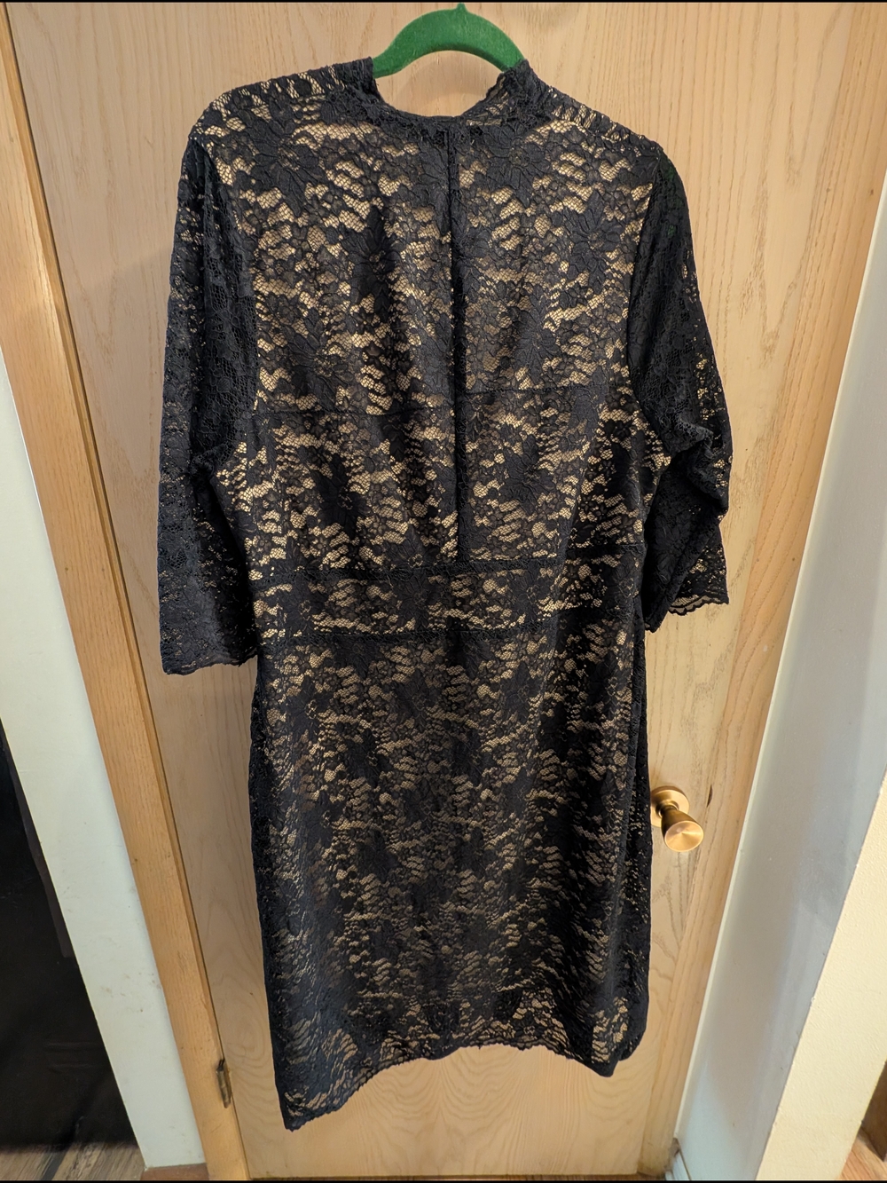 Kiyonna Lace V-Neck Overlay Dress in Black/Beige - Picture 5 of 6